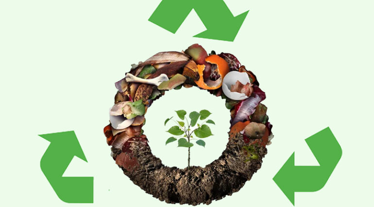 Composting for Businesses: Solutions for Sustainability