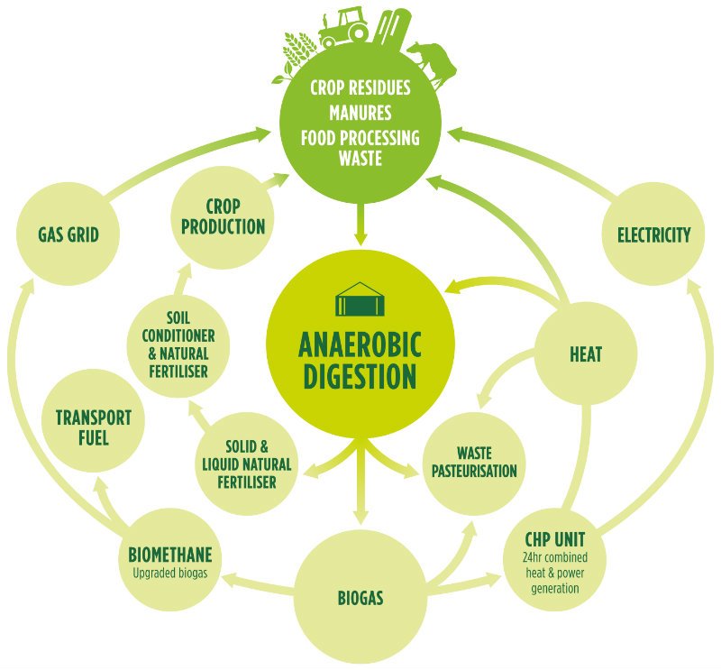 Infographic that showcases the byproducts of anaerobic digestion of food waste and their benefits.