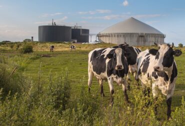 Anaerobic digestion definition, examples and benefits for the environment.