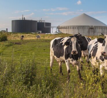 Anaerobic digestion definition, examples and benefits for the environment.