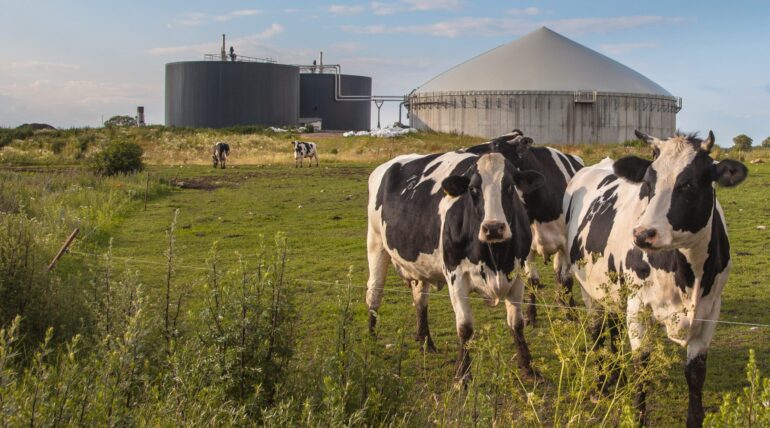 Anaerobic digestion definition, examples and benefits for the environment.