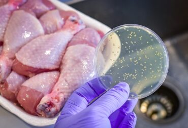 The importance of a food recall plan to avoid health risks.