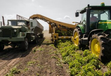 Farm waste, its impact and how to reduce it.