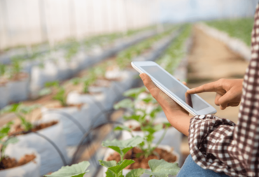 The role of food waste technology in averting the problem of food waste.