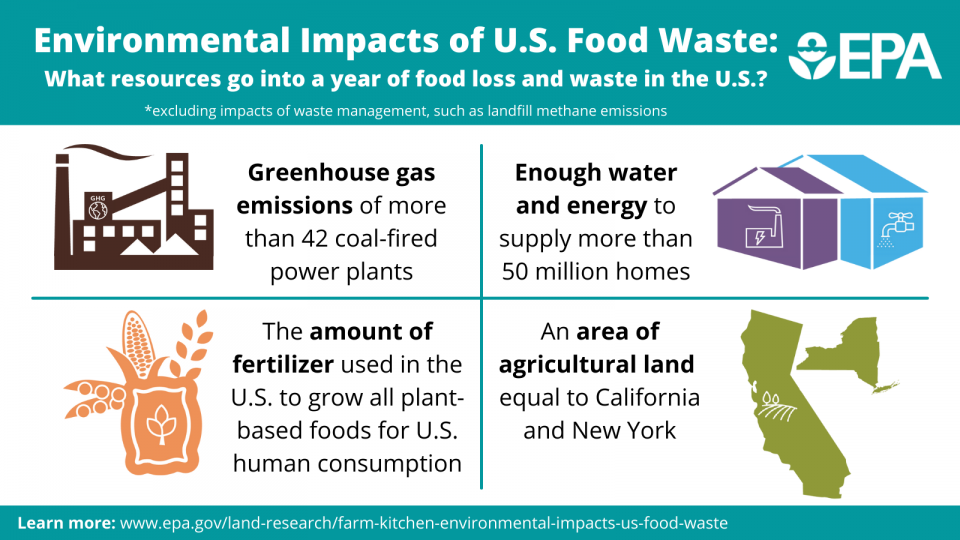 Infographic that explains how does food waste affect the environment in the US