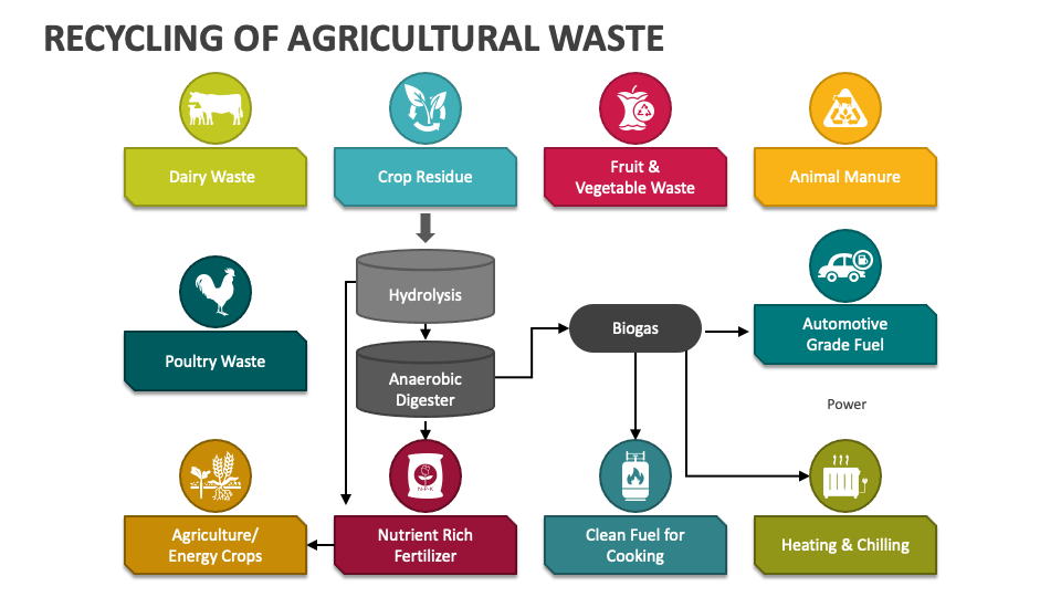 Infographic that showcases agricultural waste life cycle and management techniques.