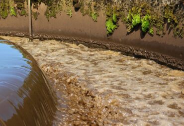 Wastewater sludge