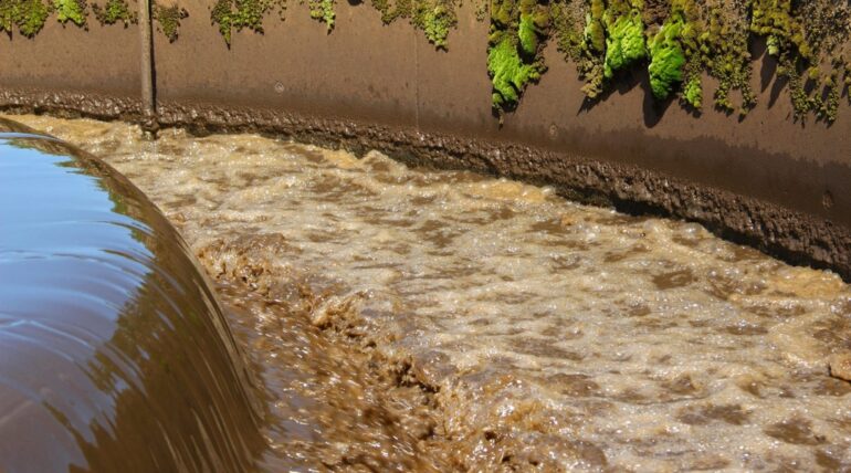 What Is Wastewater Sludge: Treatment & Uses