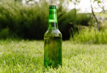 Using beer as a fertilizer.