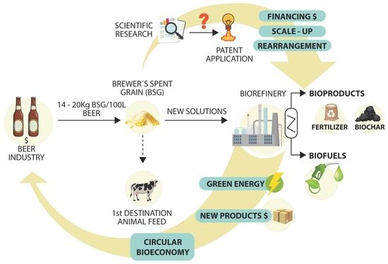 Infographic that showcases how using beer as a fertilizer promotes a circular economy in agriculture.