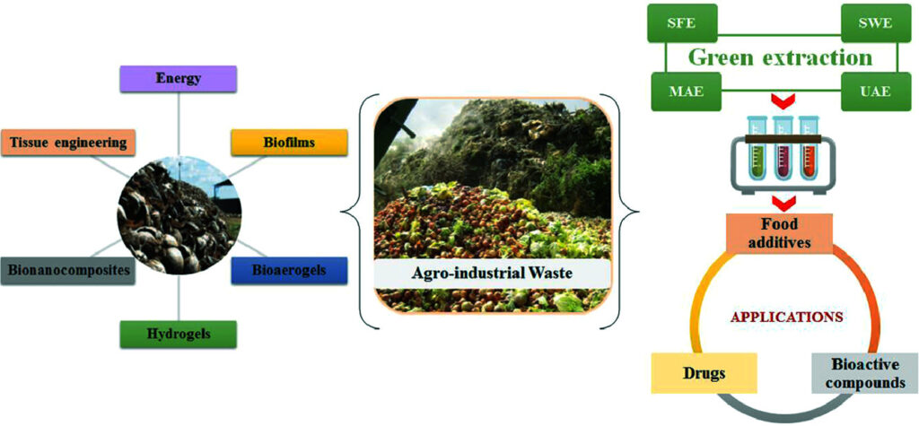 Diagram that explains energy, biofuels and biomass generation from agricultural waste.
