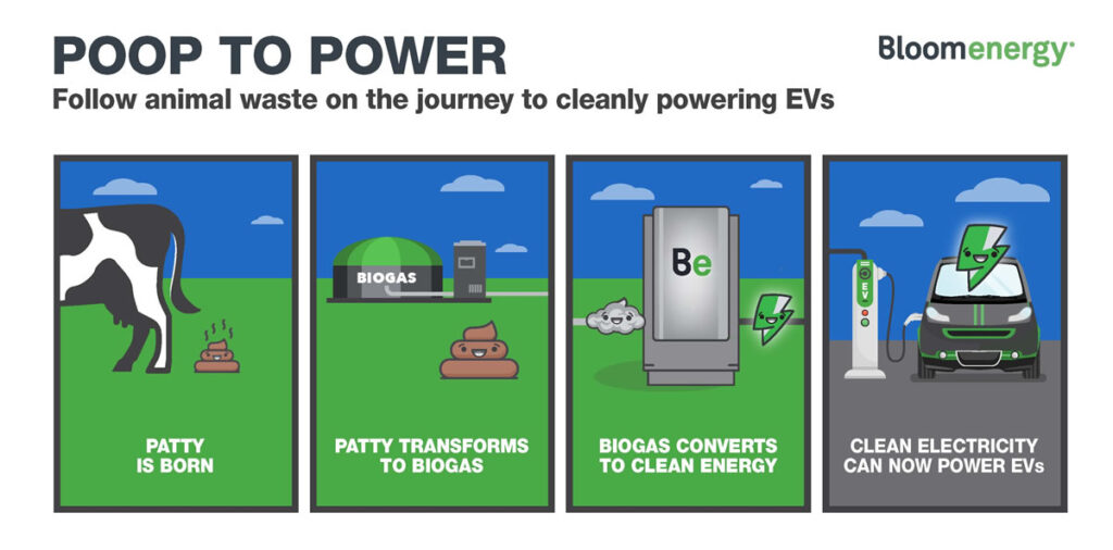 Infographic that explains animal waste management techniques that result in electrical energy.