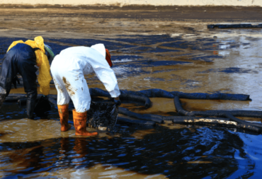 How to dispose of oil environmentally