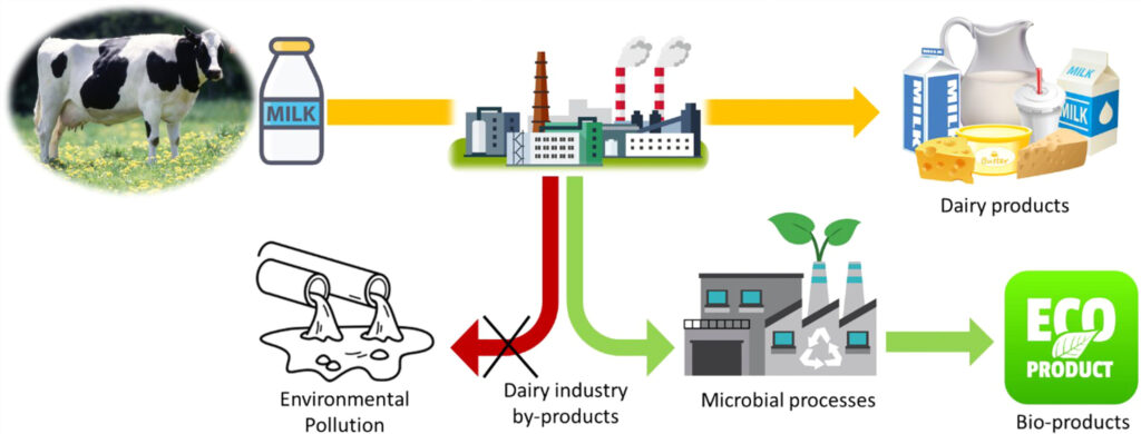 Infographic that explains the proper and improper ways of dairy waste management.
