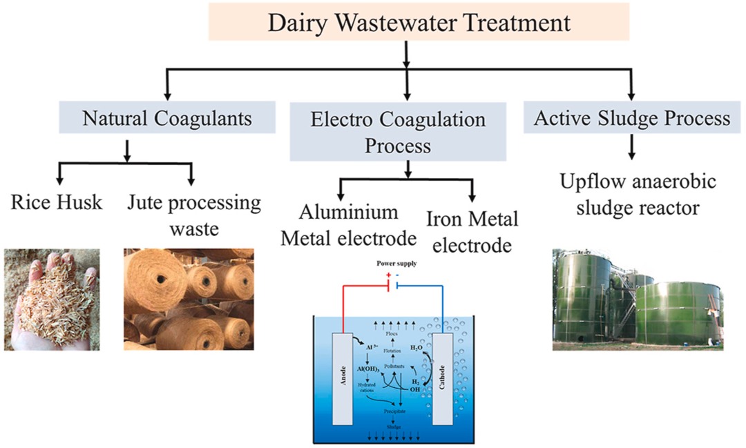 Dairy Wastewater Treatment and Management | Shapiro