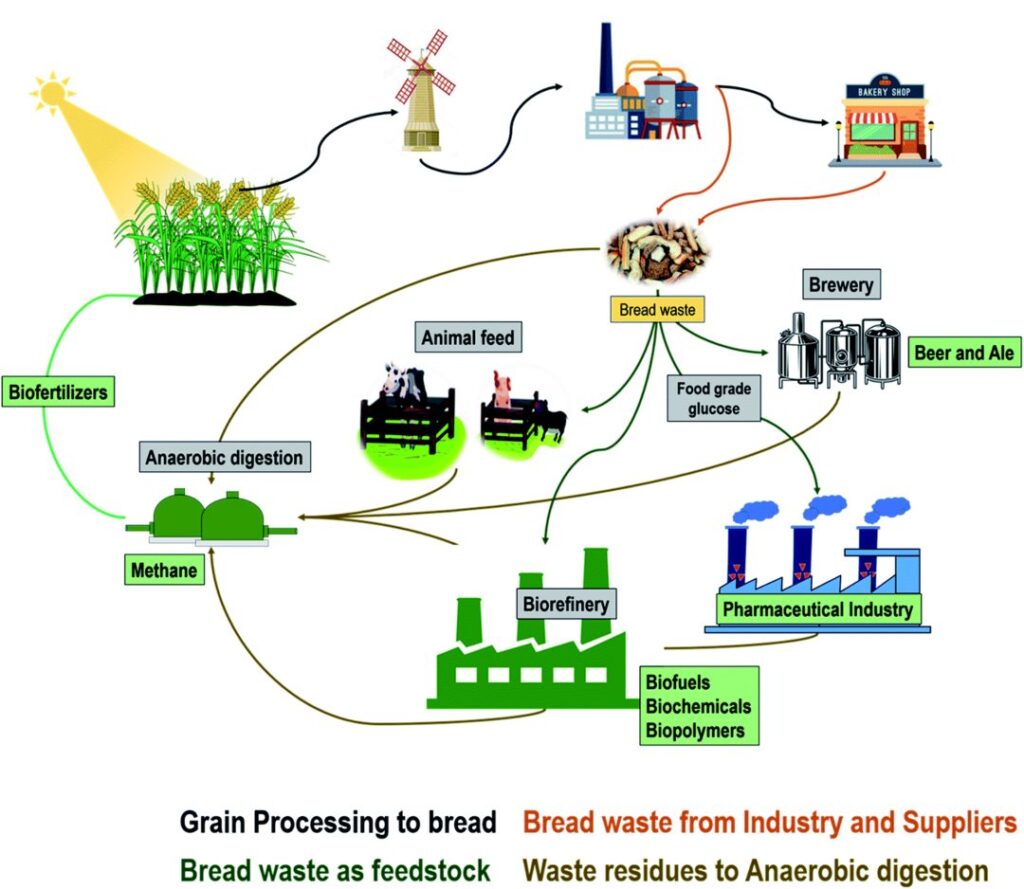 Graphical abstract of multiple route to process bread waste