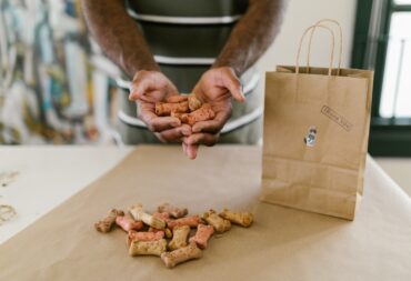 a bag of dog food recalls