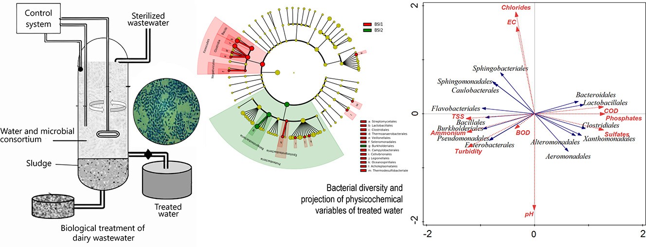 Dairy Wastewater Treatment and Management Shapiro