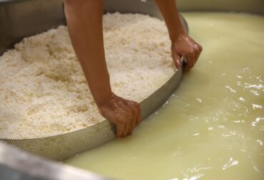 whey cheese disposal
