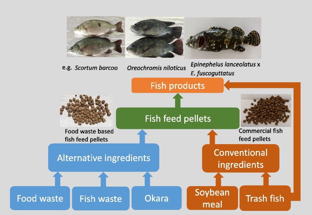 Graphical abstract of fish waste management process