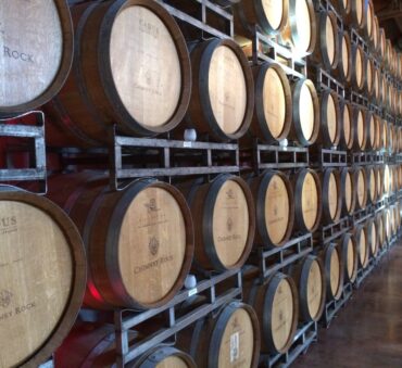 Rows of different types Beer Kegs