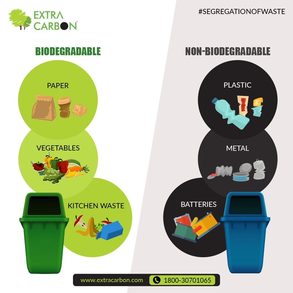 biodegradable waste vs non-biodegradable waste