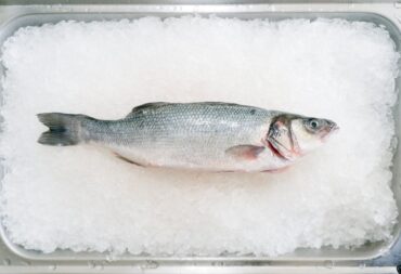 fish waste management