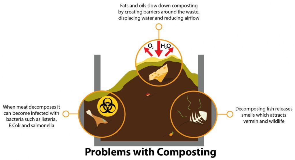 graphical abstract of the problems with composting meat and cheese waste