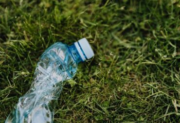 plastic bottle environment