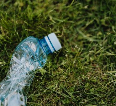 plastic bottle environment