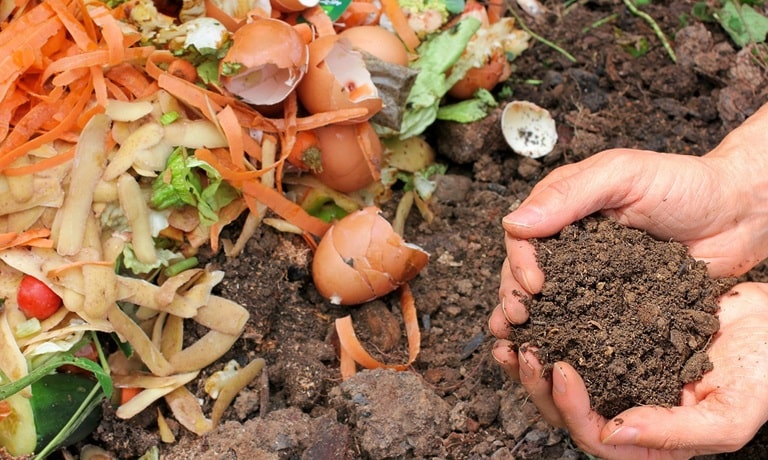 methane emissions from food waste in landfills