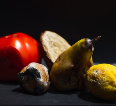 most wasted food in america