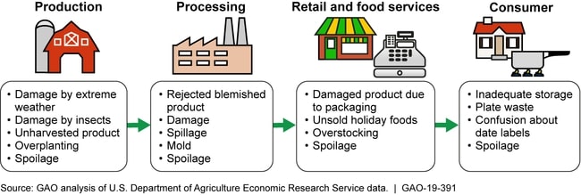 Food Supply-Chain Stages and Examples of Causes of Food Loss and Waste