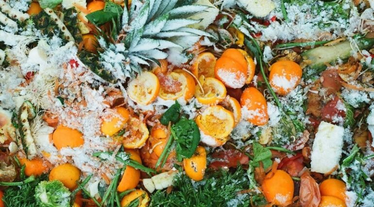Avoidable and Unavoidable Food Waste: Understanding the Difference