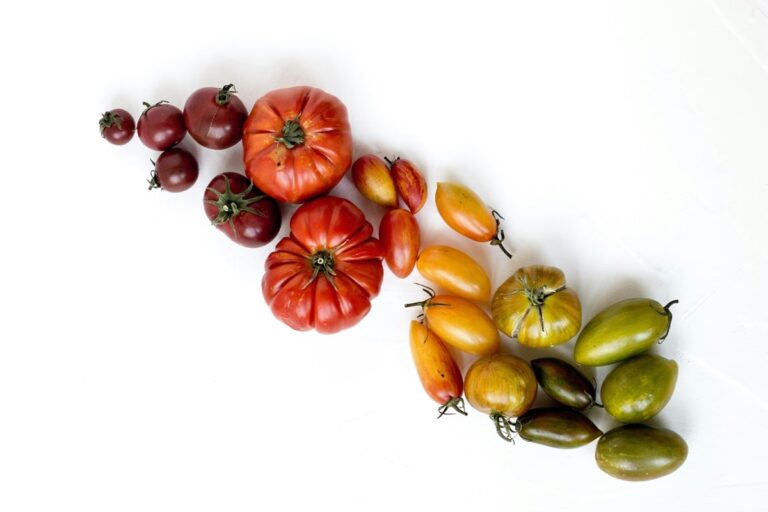 Top 10 Sustainable Solutions to Reduce Food Waste | Shapiro