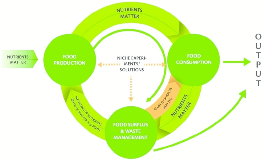 Three stages of the food system in a circular economy.