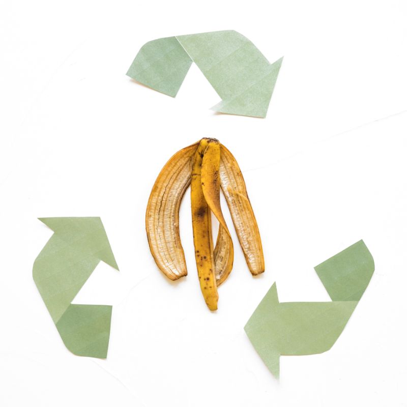 food waste circular economy