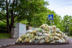 Complete Guide to Food Waste Management