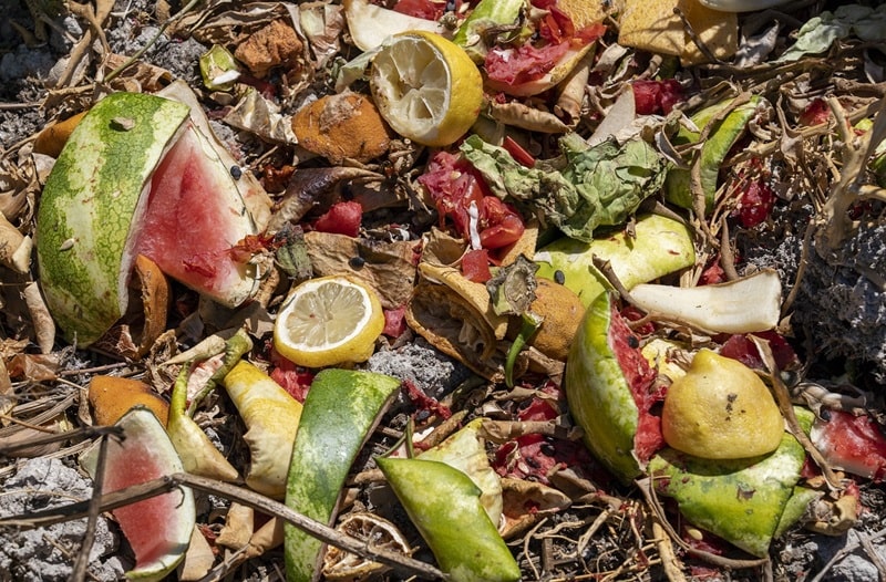 difference between food waste and food loss