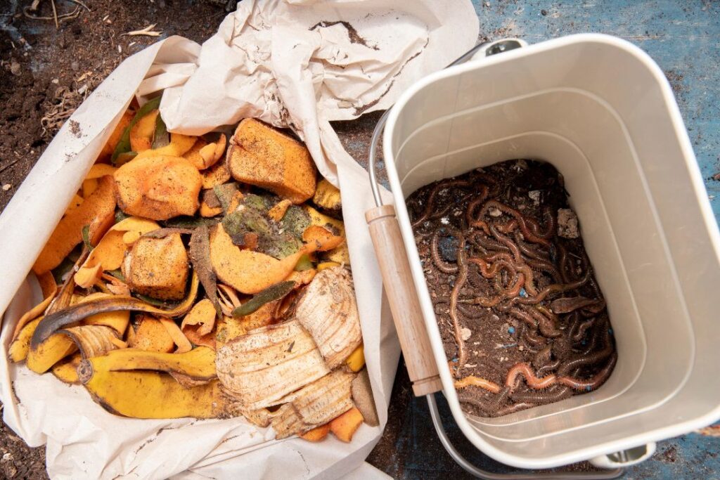 composting food waste