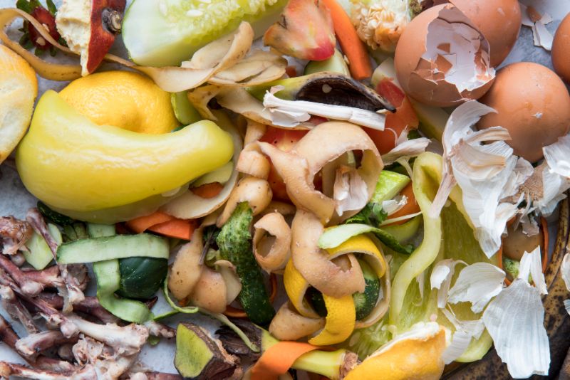 food scraps recycled or reused