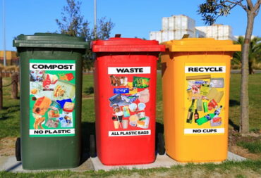 food waste collection