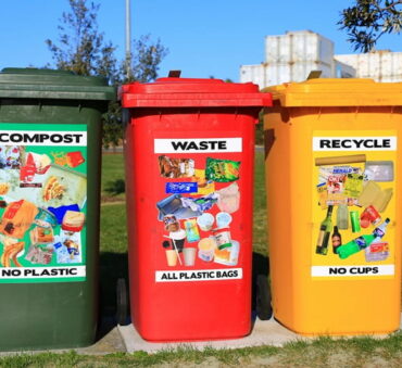 food waste collection