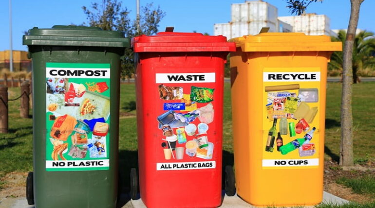 How Do Food Waste Collection and Pick Up Services Work?