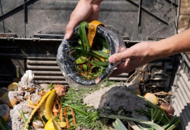 food waste disposal