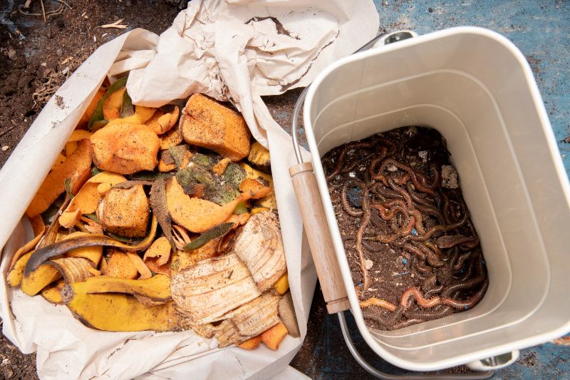 vermicomposting food waste