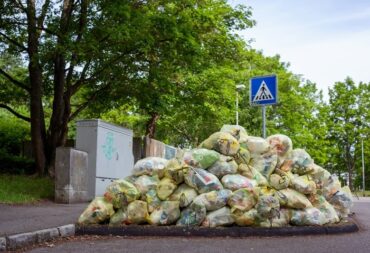 food waste government