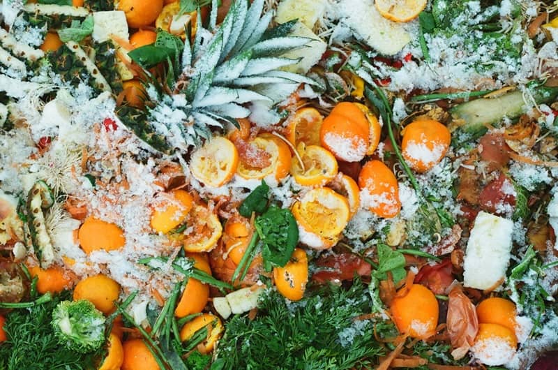 how can the government reduce food waste