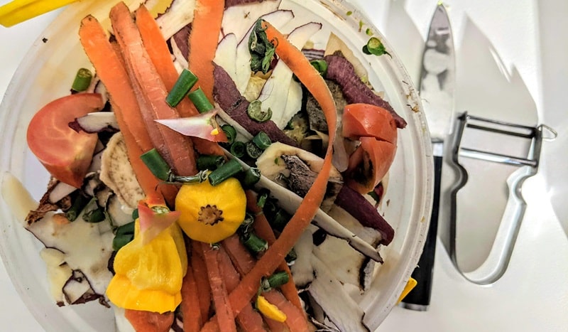 Benefits of Reducing Food Waste for Business and Homes | Shapiro - Solutions For Reducing Food Waste At Home