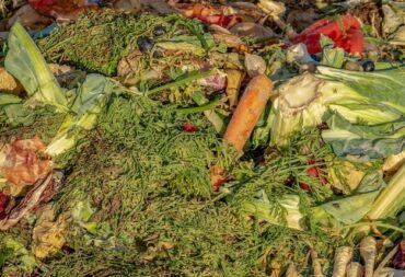 turning food waste to fertilizer